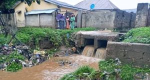 TWO children drown in Niger flood TWO children drown in Niger flood