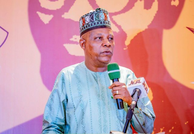 Jonathan tried to remove me as Governor - VP Shettima