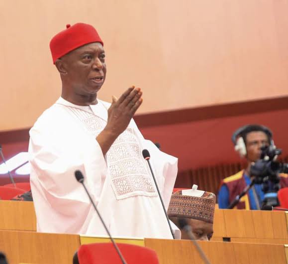 Senator Ned Nwoko proposes ranching in all 774 LGA Senator Ned Nwoko proposes ranching in all 774 LGA