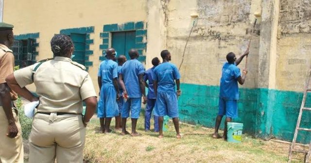 8,246 mentally ill inmates are in custody nationwide – NCoS