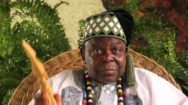 Don’t leave your healthcare to herbalist only – Elebuibon tells traditionalists