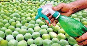 FCCPC warns Nigerians against consuming fruits ripened with chemicals FCCPC warns Nigerians against consuming fruits ripened with chemicals