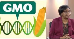 GMO foods are not bad for us – NAFDAC DG GMO foods are not bad for us - NAFDAC DG