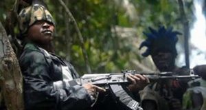 Gunmen abduct FMC staff in Ondo Gunmen abduct FMC staff in Ondo