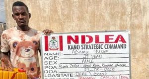 NDLEA arrests man with 7,000 tramadol capsules NDLEA arrests man with 7,000 tramadol capsules