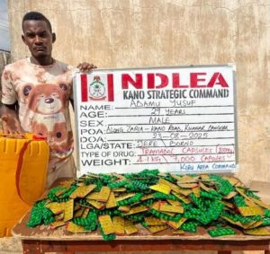 NDLEA arrests man with 7,000 tramadol capsules