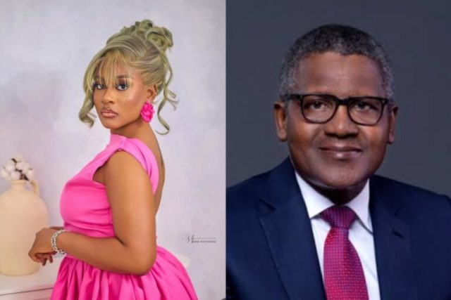 Phyna shares update from Dangote group Phyna fight Dangote group