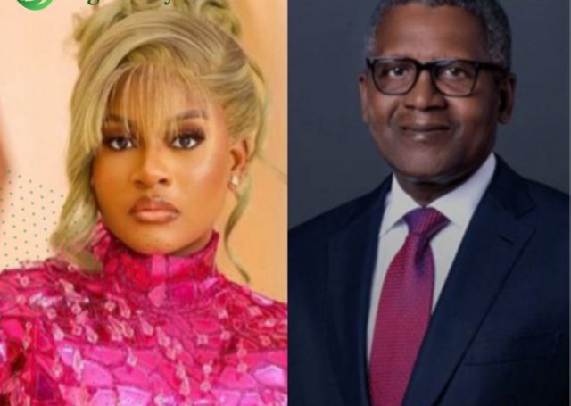 Phyna reacts to Dangote’s statement on sister's truck accident