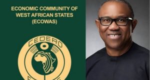 Peter Obi slams FG’s increase in Passport fee Peter Obi slams FG's increase in Passport fee