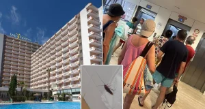 More than 100 tourists hospitalised after food at Spain hotel Tourists hospitalised as over 100 including baby struck down with vomiting bug