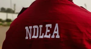Two men drown while fleeing NDLEA raid Two men drown while fleeing NDLEA raid