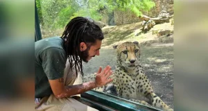 Zoo worker k!lled by leopard Zoo worker k!lled by leopard in Jerusalem