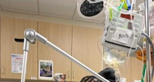 Lewis Hamilton’s special dog & Instagram sensation, Roscoe in coma Lewis Hamilton's bulldog in severe Coma