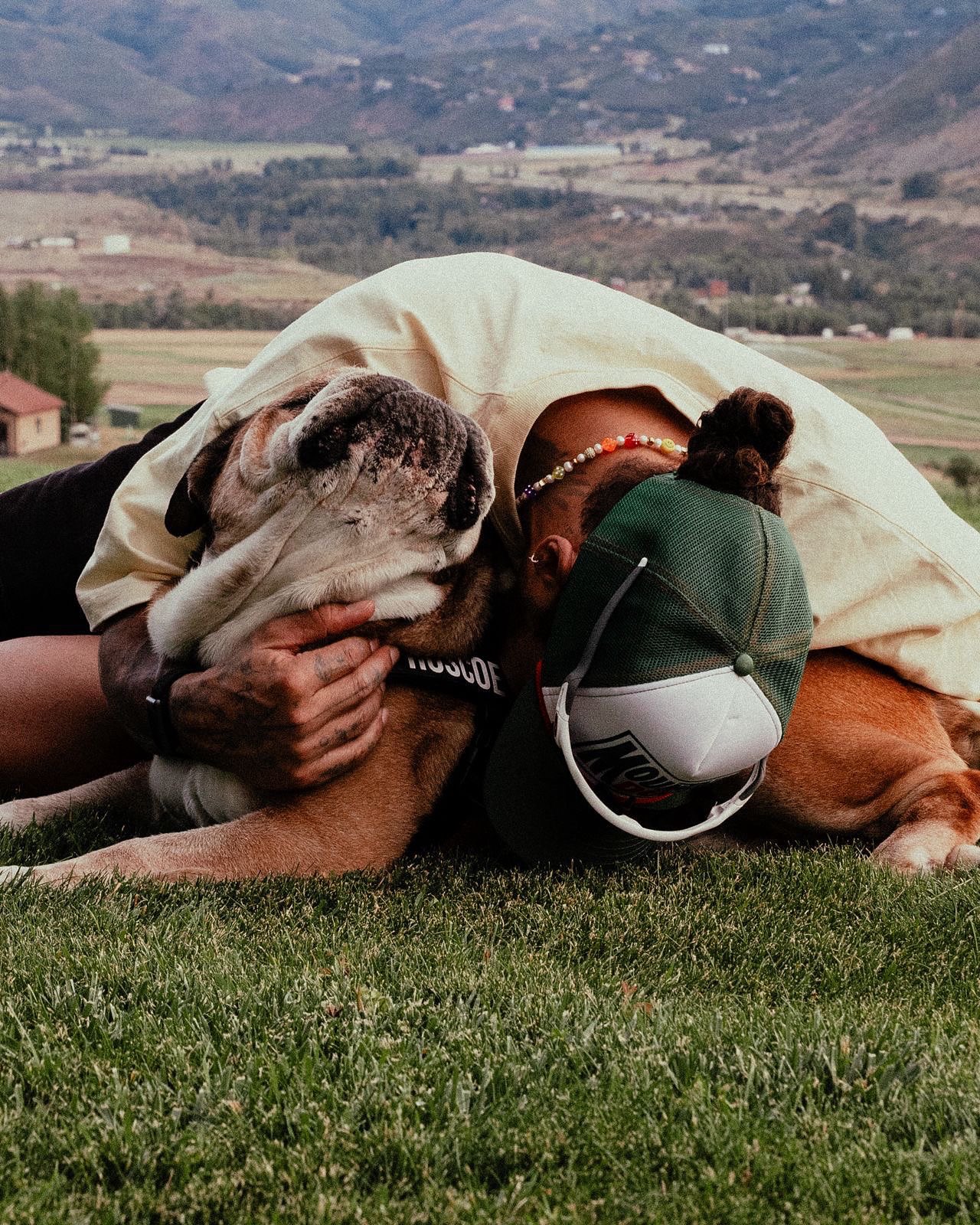 JUST IN: Lewis Hamilton loses dog
