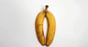 Banana artwork by Danish artist sells for $12,869 Danish artist