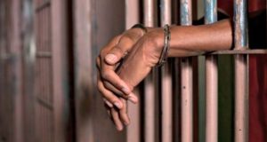 Court remands man for allegedly def!ling 8-year-old girl Court remands man for allegedly def!ling 8-year-old girl