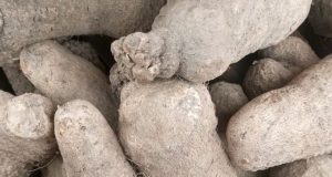 Osun ex-convict jailed for stealing yams Osun ex-convict jailed for stealing yams
