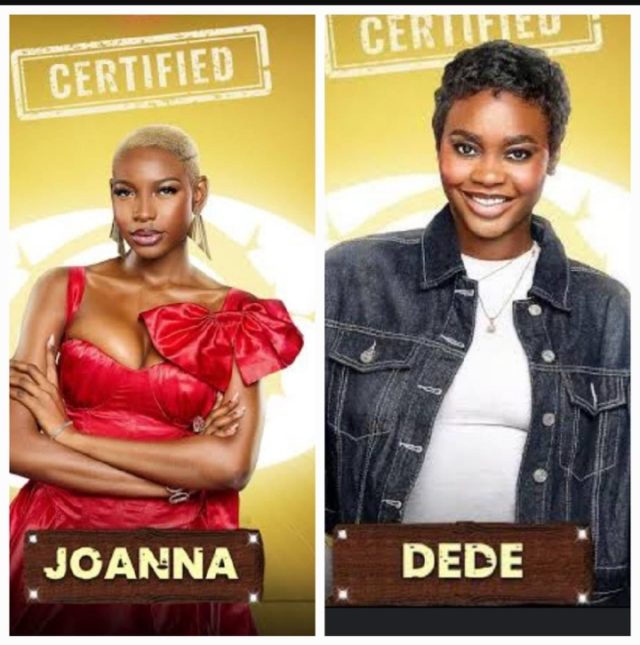 BBNaija S10: Dede and Joanna surprisingly evicted