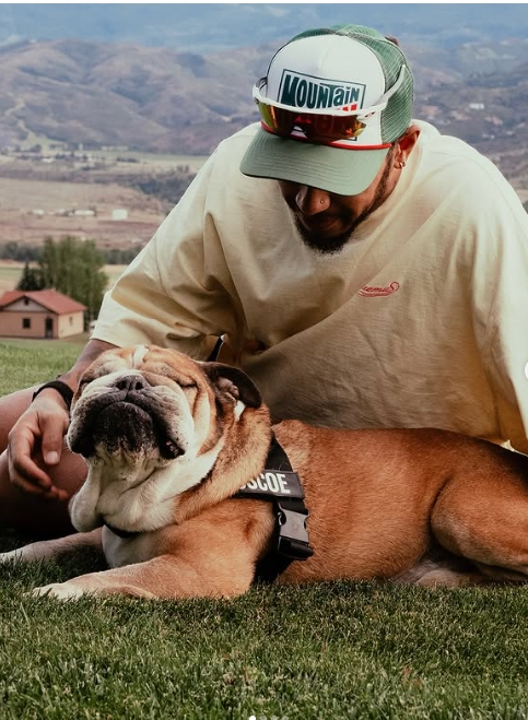 JUST IN: Lewis Hamilton loses dog JUST IN: Lewis Hamilton loses dog