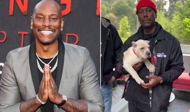 Tyrese Gibson wanted on animal cruelty Tyrese Gibson wanted on animal cruelty