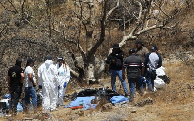 48 bags with human remains found in grave