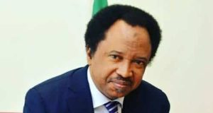 Don’t search your husband’s phone without consent – Shehu Sani Don't search your husband’s phone without consent – Shehu Sani