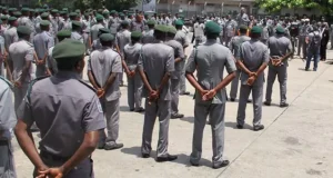 NCS raises alarm on fake appointment letters NCS raises alarm on fake appointment letters