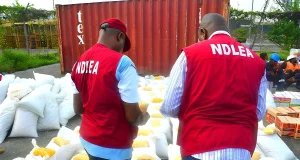 Pretty Mike: Drug parties are illegal, NDLEA warns club owners Pretty Mike: Drug parties are illegal, NDLEA warns club owners