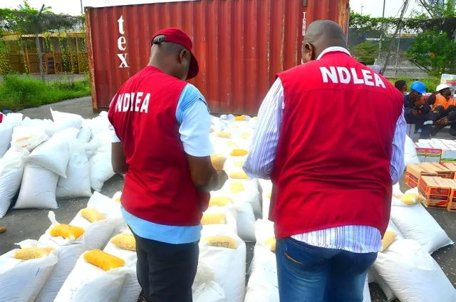 Pretty Mike: Drug parties are illegal, NDLEA warns club owners Pretty Mike: Drug parties are illegal, NDLEA warns club owners