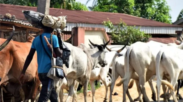 Oyo herder k!lls colleague during N4,000 dispute