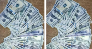 Police arrest man with 56 fake $100 bills Police arrest man with 56 fake $100 bills