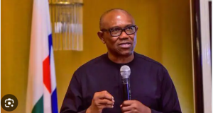 Stop calling my supporters street urchins – Peter Obi Stop calling my supporters street urchins - Peter Obi