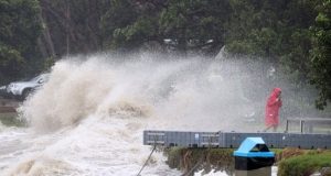 Wild winds in New Zealand leave THOUSANDS without power