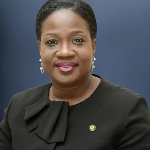 Ogun records 10,000 mental health visits in first half of 2025