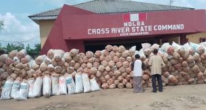 Cross River teacher & wife arrested for possessing 360 marijuana bags Cross River teacher & wife arrested for possessing 360 marijuana bags