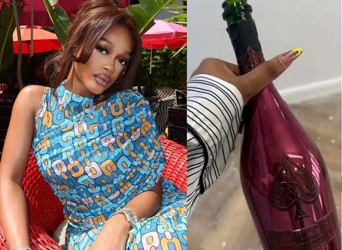 Influencer, Diana Eneje cries out after painter drank N950k champagne Influencer, Diana Eneje cries out after painter drank N950k champagne
