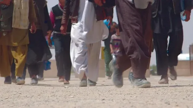 FG opens up on plans to end illegal migration