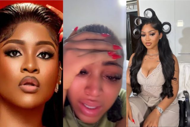 Don't return to Ned Nwoko - Phyna urges Regina Daniels