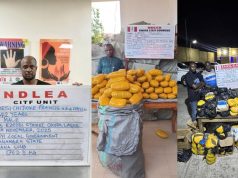 NDLEA arrests wanted drug baron NDLEA arrests wanted drug baron