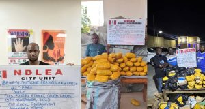 NDLEA arrests wanted drug baron NDLEA arrests wanted drug baron