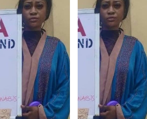 Cannabis-laden cookies: NDLEA arrests influencer Cannabis-laden cookies: NDLEA arrests influencer