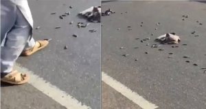 Police find 210 rounds of ammunition on Zaria-Funtua highway Police find 210 rounds of ammunition on Zaria-Funtua highway