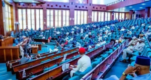 Reps raise alarm over 1,894 unmanned borders Reps raise alarm over 1,894 unmanned borders