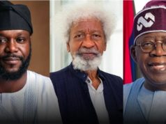 Wole Soyinka criticizes Seyi Tinubu’s heavy security details Wole Soyinka raises alarm over Seyi Tinubu’s heavy security details
