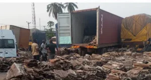 Customs seize N24.3m donkey skins Customs seize N24.3m donkey skins