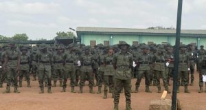 FG to send 7,000 guards to protect the forests FG graduates 7,000 forest guards across 7 northern states
