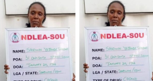 NDLEA busts Female drug Kingpin NDLEA busts Female drug Kingpin