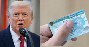 Trump suspends US green card lottery Trump suspends US green card lottery