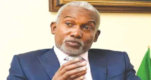 Airstrikes: Nigeria supplied intelligence to US military – FG Airstrikes: Nigeria supplied intelligence to US military - FG