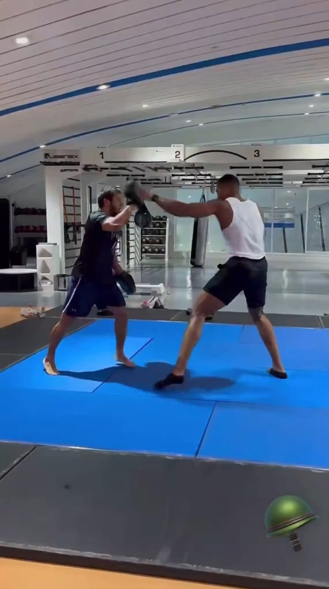 Anthony Joshua returns to training days after crash